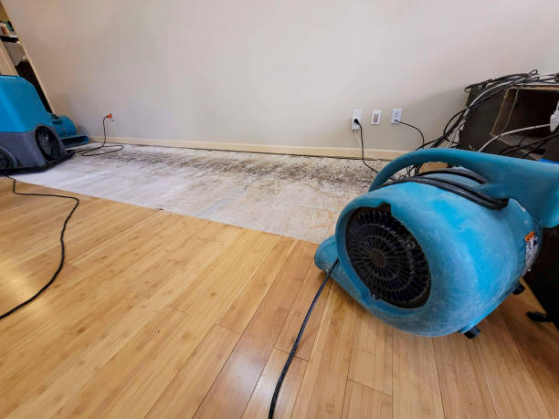 Professional Structural Drying technician working in La Grange, TX